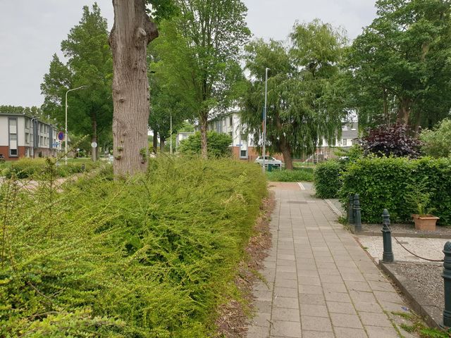 Reigerweg 58, Enkhuizen