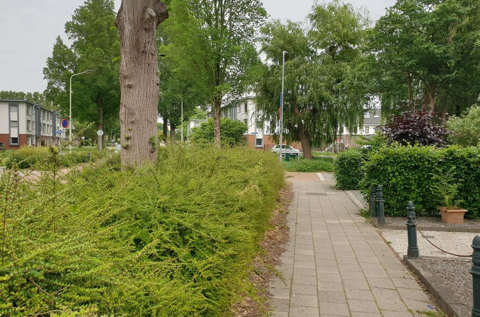 Reigerweg 58