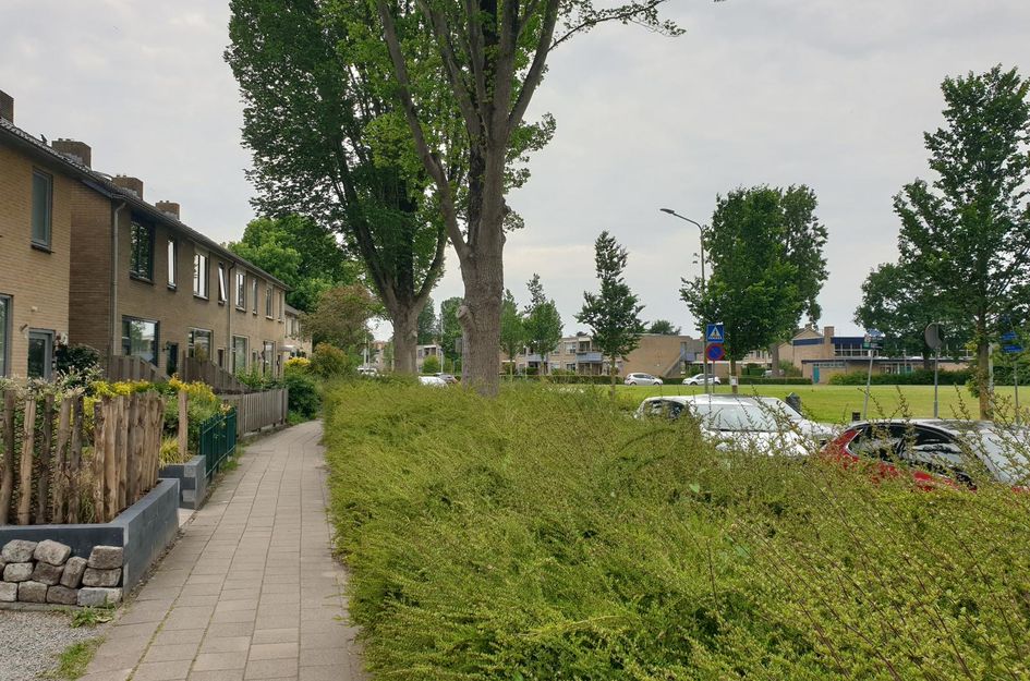Reigerweg 58