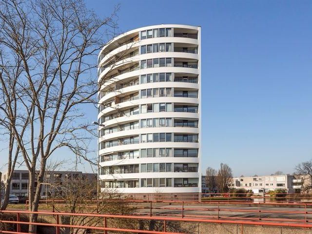 Tine van Dethstraat 63, Leiden