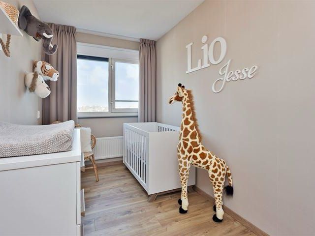 Tine van Dethstraat 63, Leiden