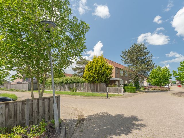 Krammer 5, Hansweert