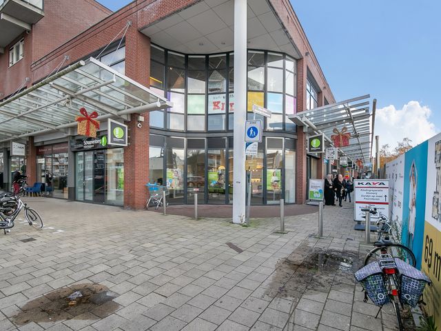 Wethouder Hillenaarplnts 119, Rijswijk