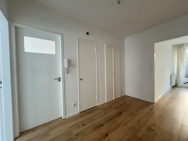 Merkusstraat 60, 's-Gravenhage