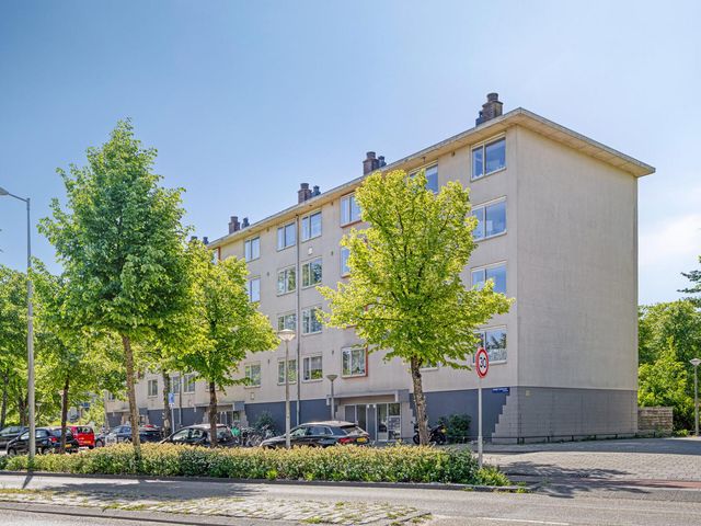 Robert Fruinlaan 30 2, Amsterdam