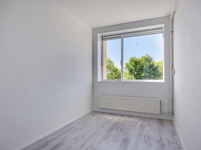 Robert Fruinlaan 30 2, Amsterdam