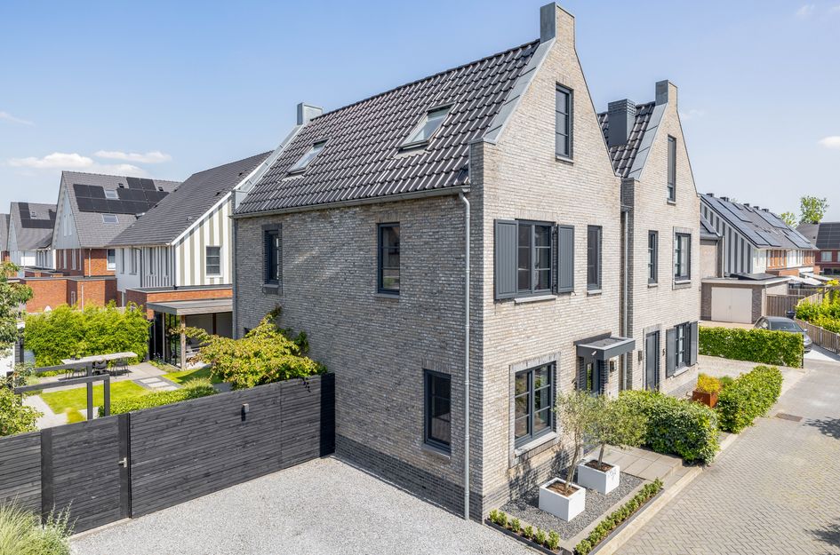 Zwaluwbij 3