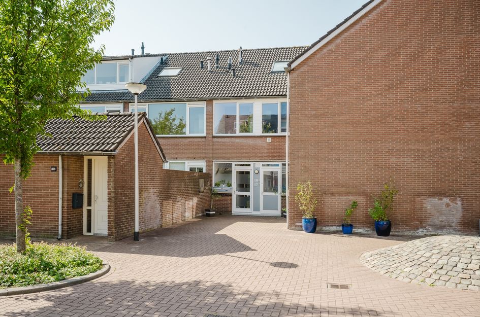 De Esdoorn 17