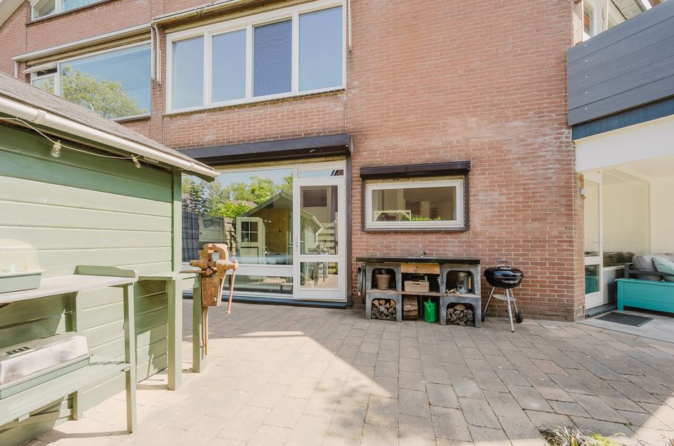 De Esdoorn 17