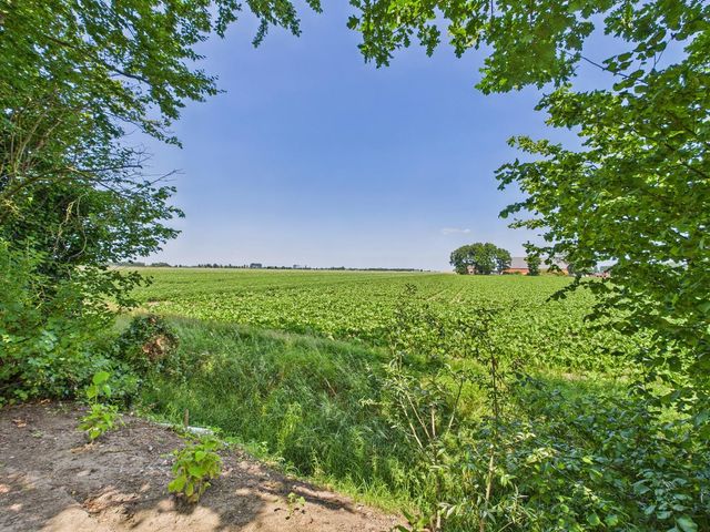 Schenkeldijk 2, Graauw