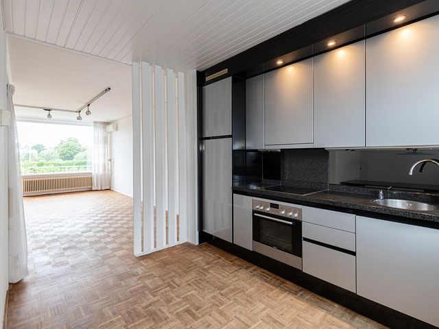 Groen van Prinstererstr 67, Alblasserdam