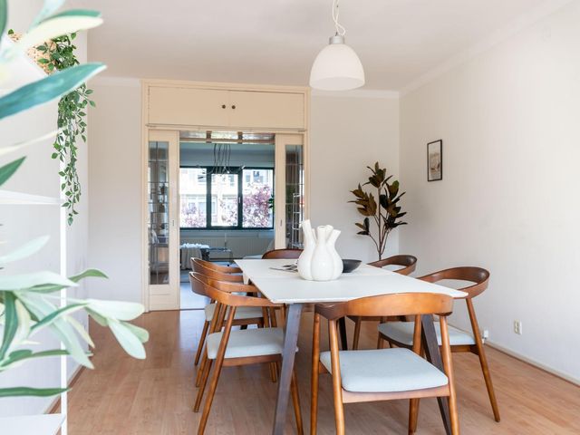 Stadhoudersplantsoen 60, 'S-Gravenhage