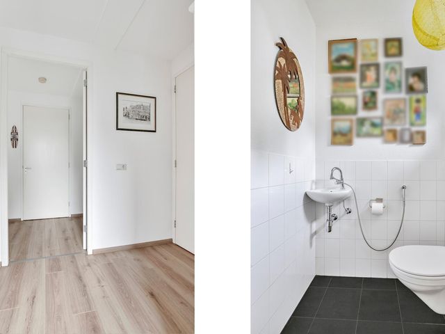 Maagdenpalm 14, Arnhem