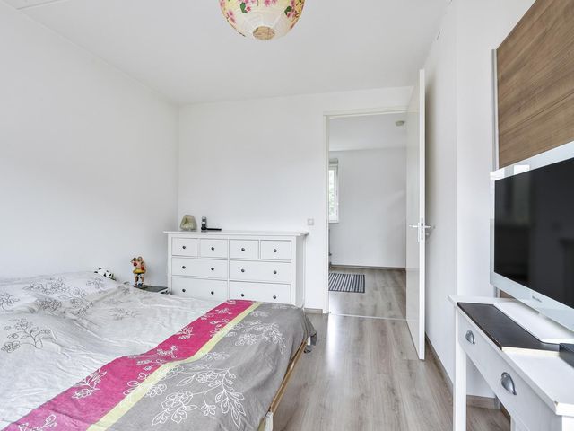 Maagdenpalm 14, Arnhem