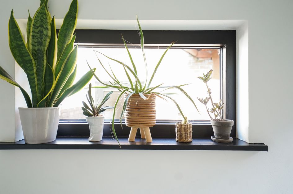 Jac Catsstraat 26