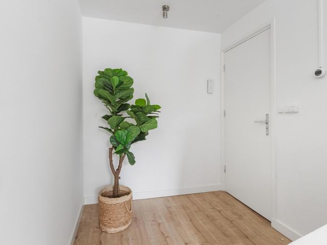 Gedempte Nieuwesloot 67A, Alkmaar