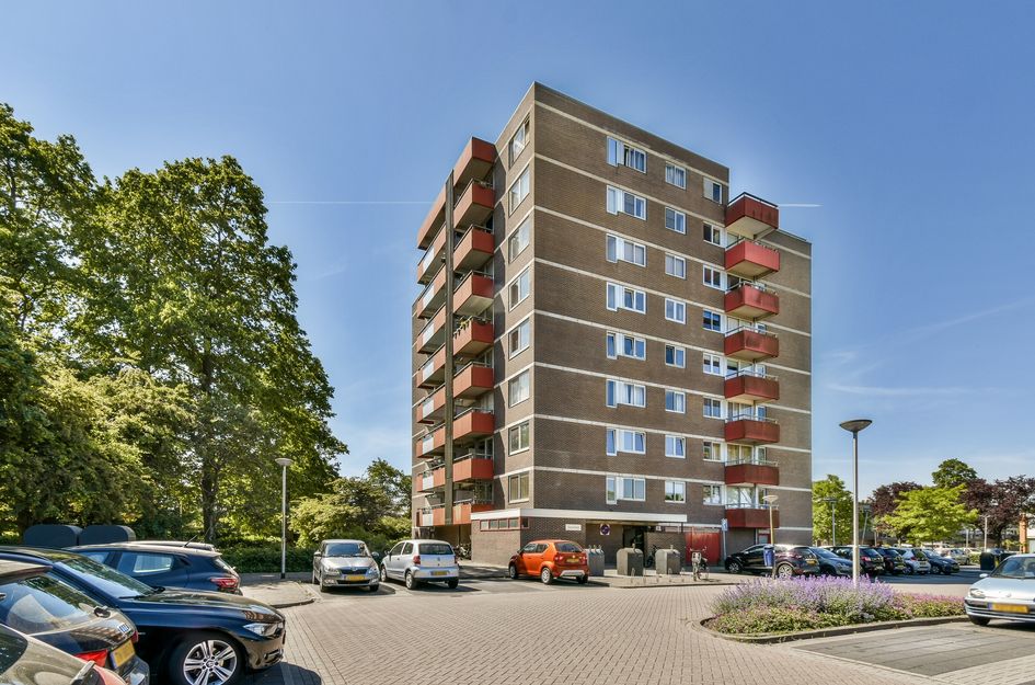 Zevenblad 72