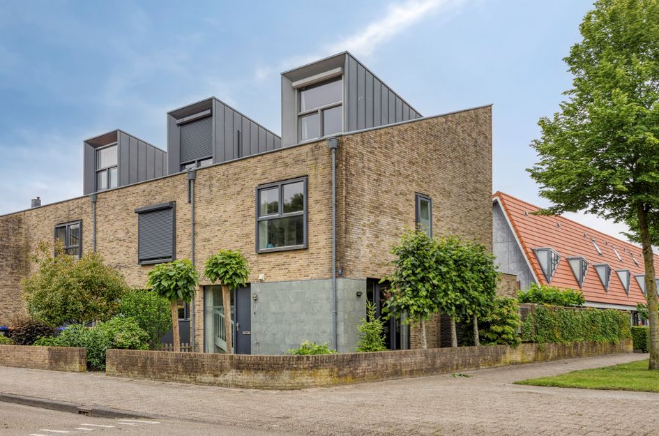 Vlaamse Gaai 9