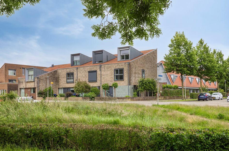 Vlaamse Gaai 9