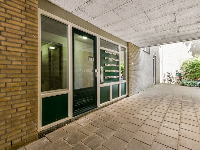 Oude Singel 252, Leiden