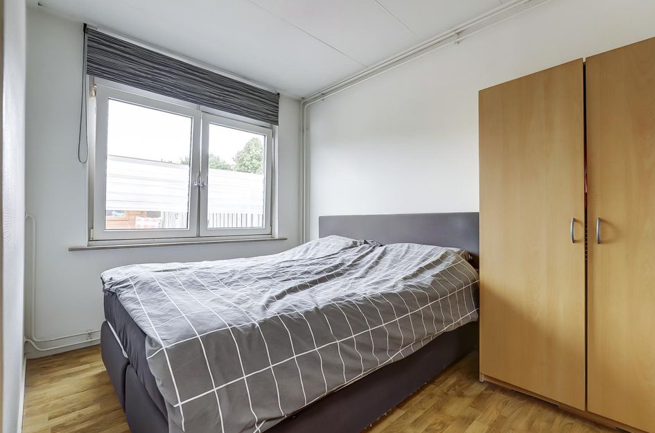 Rodedorp 33