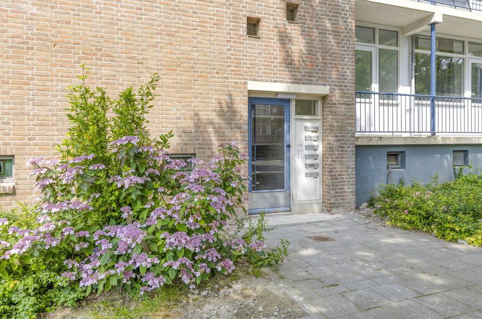 Ellewoutsdijkstraat 193