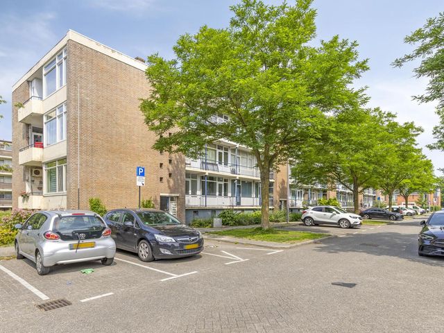 Ellewoutsdijkstraat 193, Rotterdam