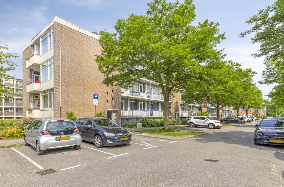 Ellewoutsdijkstraat 193
