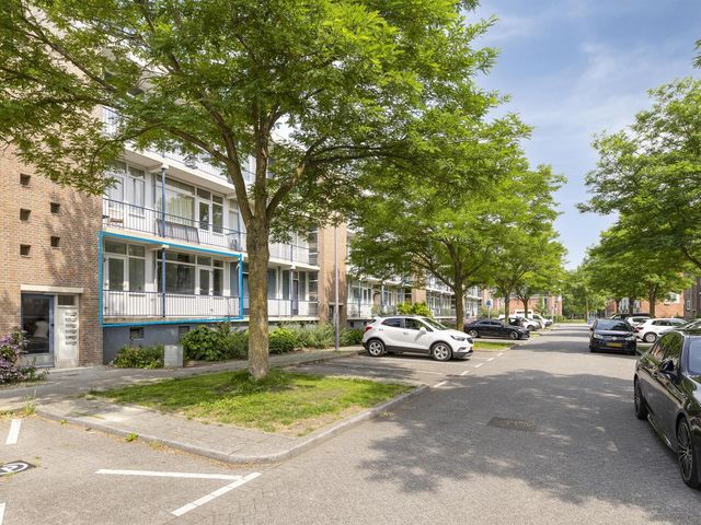Ellewoutsdijkstraat 193, Rotterdam