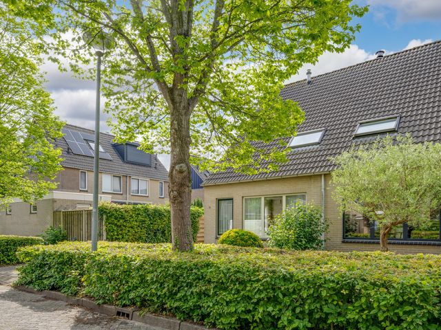 Veranda 74, Hoorn
