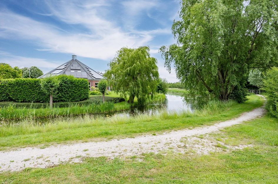 Zwaan 28