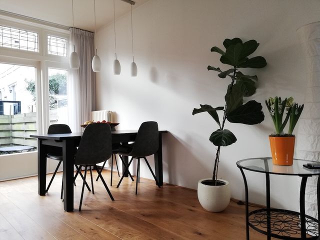 Herengracht 123, Zaandam