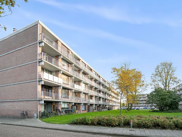 Witte de Withstraat 81, Terneuzen