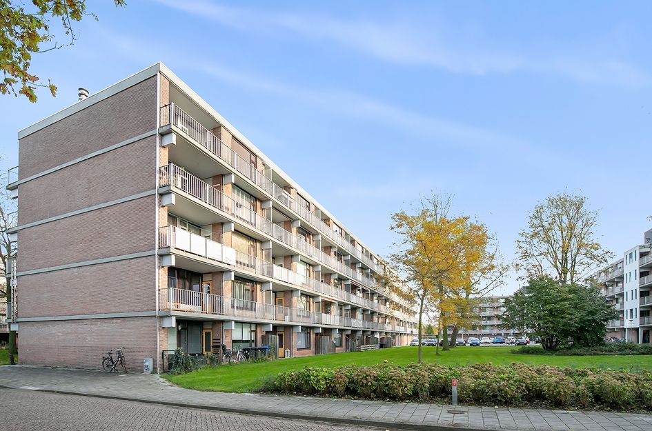 Witte de Withstraat 81