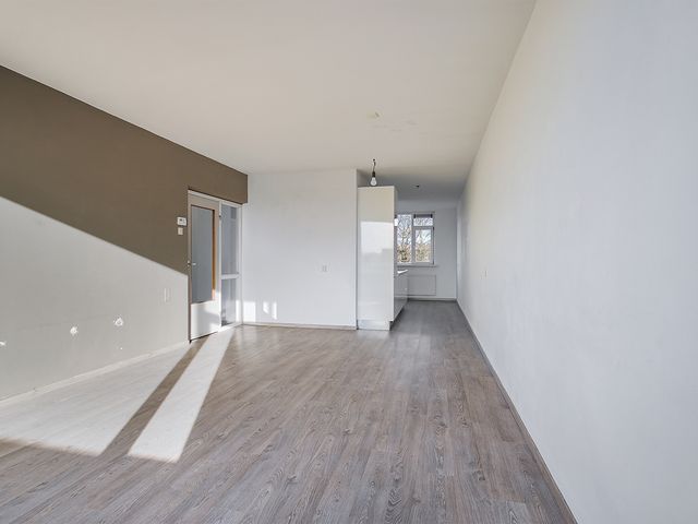 Witte de Withstraat 81, Terneuzen
