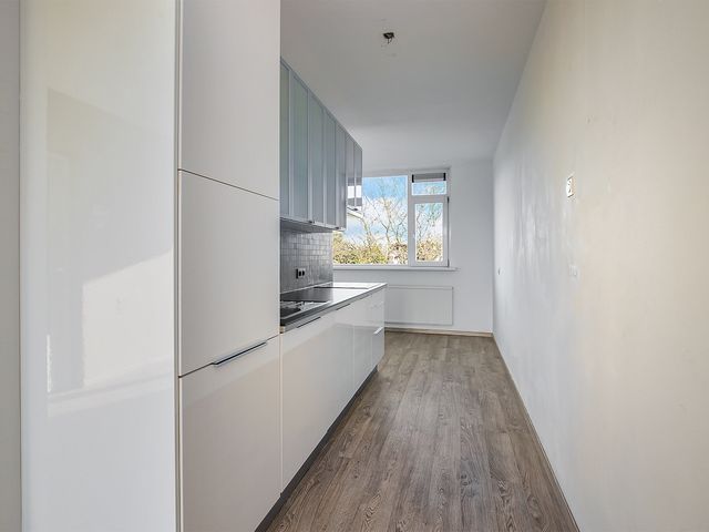 Witte de Withstraat 81, Terneuzen