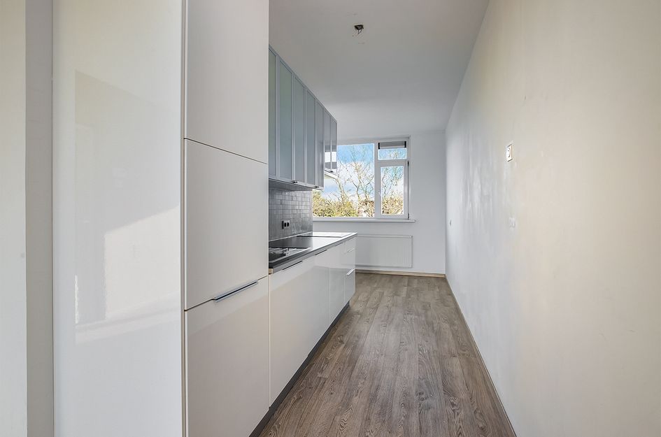Witte de Withstraat 81