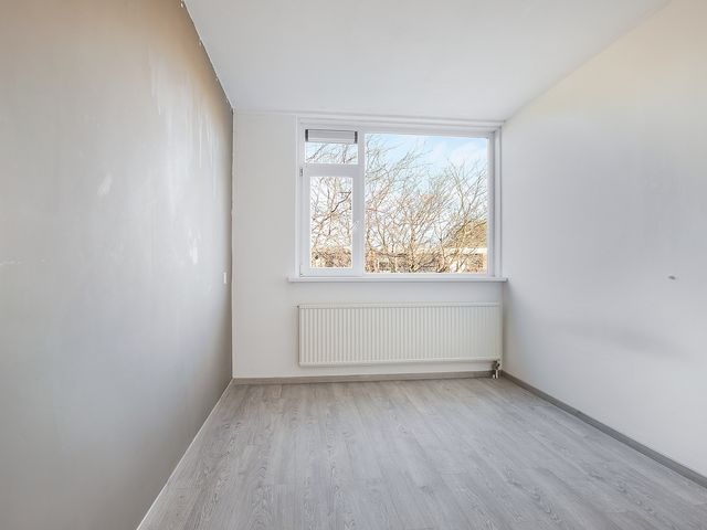 Witte de Withstraat 81, Terneuzen