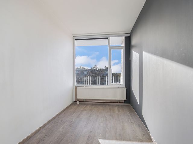 Witte de Withstraat 81, Terneuzen
