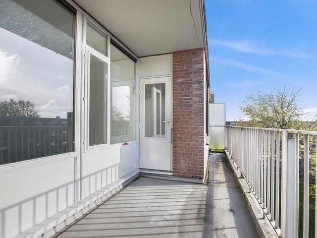 Witte de Withstraat 81, Terneuzen
