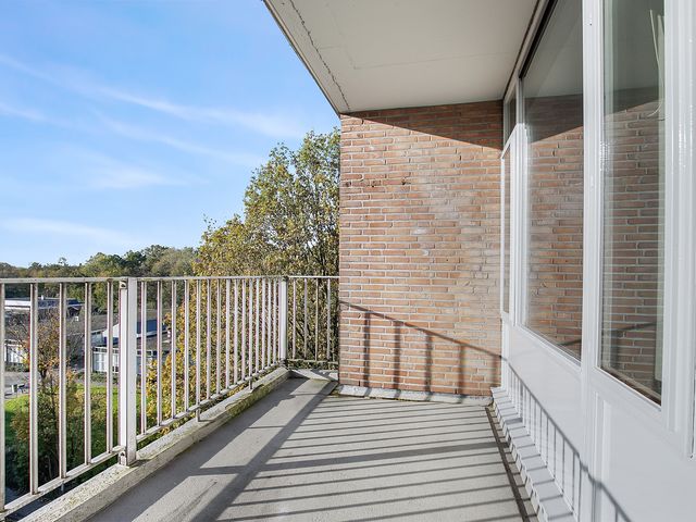 Witte de Withstraat 81, Terneuzen