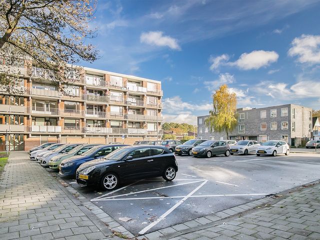 Witte de Withstraat 81, Terneuzen