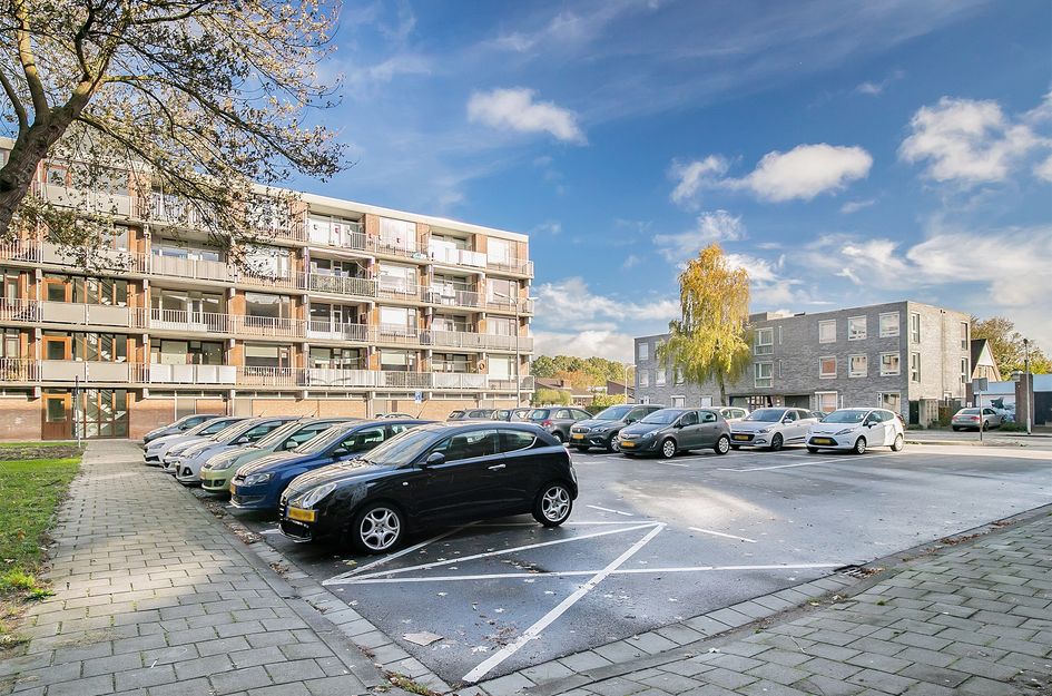 Witte de Withstraat 81