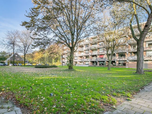 Witte de Withstraat 81, Terneuzen