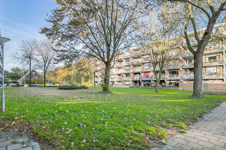 Witte de Withstraat 81