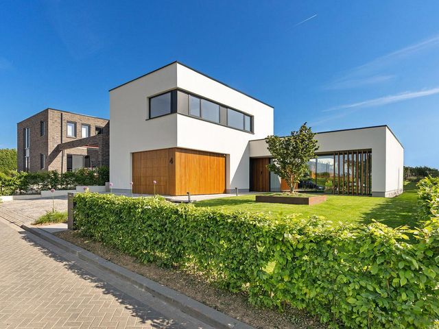 Korenbloem 4, Heerlen