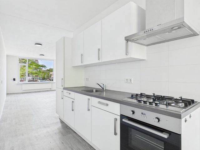 Witte de Withstraat 27, Terneuzen