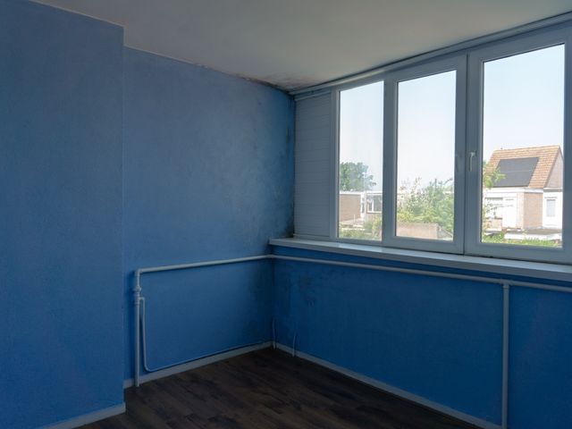 Plataanstraat 16, Bergen Op Zoom