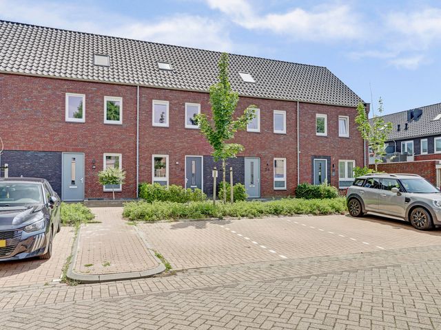 Dooleg 26, Reusel