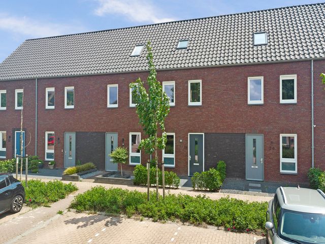 Dooleg 26, Reusel